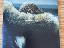 Beyonce - LEMONADE - YELLOW Color Vinyl 2 LP