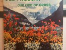DEL McCOURY Our Kind of Grass LP JP Pressing GXF6026 EX/VG+