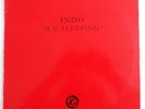 INDO - R U SLEEPING 12