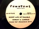 Round Top Mountain Boys- Fonotone 6173 