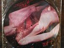 The Jesus Lizard Goat (Touch And Go) LP, Album, Picture Disk 1991 NM