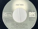 Electronic, Funk / Soul Jimmy Ross - First True Love Affair Quality, RFC Records