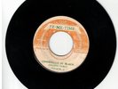 #96 ROOTS REGGAE 45 FE ME TIME LABEL AUGUSTUS PABLO 