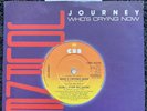 Journey - Don't Stop Believin' / Who's Crying Now 7'' MISPRESS TESTED EX VIDEO