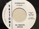 Northern Soul 45 The Fabulous Apollos “Determination” Valtone #101 Detroit Promo