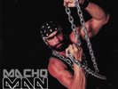 Macho Man Randy Savage Be A Man VINYL WWE WWF SILVER CHAIN /300 SEALED