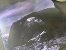 Hum - Inlet Vinyl LP Gatefold Jacket Pre Owned Excellent