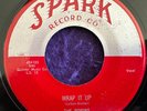THE ROBINS Riot In Cell Block #9 / Wrap It Up SPARK 45 Doo Wop TESTED VG+