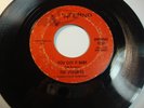 Northern Soul 45 the Volumes “You Got It Baby” Hear