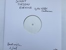 SIGNED The Divine Comedy Rainy Sunday Afternoon Numbered Test Pressing IN HAND