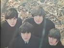 The Beatles BEATLES FOR SALE Vinyl UK Parlophone  PCS3062  YEX142/3 Stereo MINT