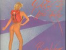LP Roger Waters The Pros And Cons Of Hitch Hiking GATEFOLD NEAR MINT Harvest