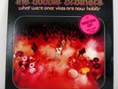 The Doobie Bros. WHAT WERE ONCE VICES ARE NOW... Vinyl, White Label PROMO (1974)