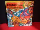 THE BEACH BOYS • Sunshine Dream • 2 LP’s  Vinyl