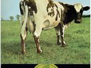 PINK FLOYD ATOM HEART MOTHER VINYL ALBUM HARVEST RECORDS 1970