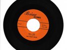 Foamy Brine - Tell Her/Ever Changing 7