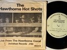 BEACH BOYS Hawthorne Hot Shots 2 discs & Pic sleeve 25 of 500 made BRIAN WILSON