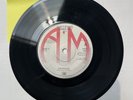 The Police Can't Stand Losing You, 7” RARE , black vinyl, red label, A3/B4