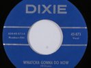 Rockabilly/Instrumental 45 WILLIAMS BROTHERS Whatcha Gonna Do Now DIXIE HEAR k