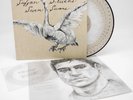 Sufjan Stevens Seven Swans 2024 Vinyl Picture Disc Zoetrope + Flexi Single NM