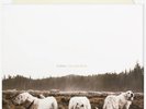FOXING The Albatross GLOW IN THE DARK VINYL LP /600 la dispute hotelier cursive