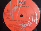 SIGNED Mobb Deep “Survival Of The Fittest” Vinyl Autographed By Prodigy & Havoc