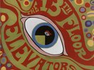 LP 13th Floor Elevators The Psychedelic Sounds Of The 13th Floor Elevators