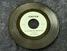 Quests - What Can I Do / Shadows In The Night  FENTON MICHIGAN GARAGE 45 PSYCH