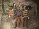 The Maytals Monkey Man Vinyl LP Orig Trojan UK Record VG++