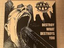 Against All Authority Destroy What Destroys You LP Signed Vinyl Punk Ska