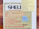 Shellac - The Bird Is The Most Popular Finger - 7