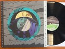 Theo Parrish – Parallel Dimensions 2017 Vinyl LP EX Sound Signature