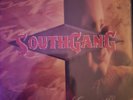 Southgang Group Therapy Vinyl - LP Butch Walker