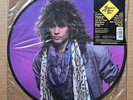 Bon Jovi – Slippery When Wet RARE out of print vinyl picture disc LP '86