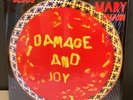 The Jesus and Mary Chain 