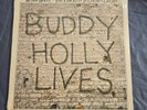 SEALED BUDDY HOLLY Lives 20 Golden Hits 1978 MCA3040 Vinyl LP  Record Crickets