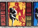 Guns N' Roses vinyl Appetite for Destruction and Use Your Illusions I & II