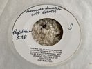 Test Pressing DJ WLP Promo 45 Raspberries Eric Carmen Overnight Sensation