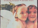 Smashing Pumpkins - Siamese Dream - Double LP  - Sealed - New