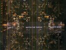 Jay-Z & Kanye West - Watch The Throne PICTURE DISC Vinyl 2xLP NEW SEALED Gold