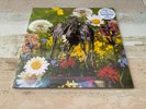 Current 93 Swastikas For Noddy Limited Edition Remastered 2 x coloured vinyl NEW