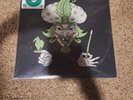 Insane Clown Posse ICP The Great Milenko RSD Vinyl LP Green New
