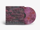 NEW Sleep Token Even In Arcadia On Glass of Port Pink Color Vinyl Limited /3000