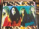 Tyketto * Don't Come Easy *LP record *NM/NM *1991 *DGC *DGC 24317 *HARD ROCK