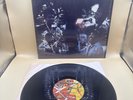 The Wonderful Side Of The Mustangs Vinyl Record