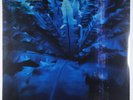 Hum - Downward Is Heavenward 2xLP - Earth Analog Reissue SEALED