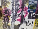 The Used Shallow Believer LP Blue Vinyl RSD 2015 Exclusive RARESealed