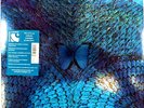 Santana Borboletta LP Album Vinyl Record 2014 remastered reissue 180gram prog