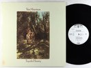 Van Morrison - Tupelo Honey LP - Warner Bros. VG+ PROMO