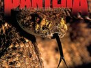 Pantera - The Great Southern Trendkill  (Brick & Mortar Exclusive) (1 LP) (Mar